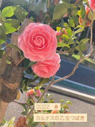 カルナス城野駅前