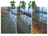 菖蒲湯