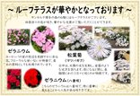 ルーフテラスが華やかとなっております
