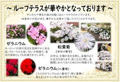 ルーフテラスが華やかとなっております
