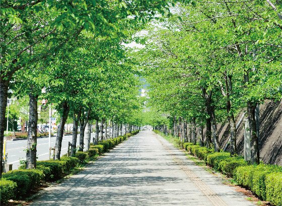 サンカルナテラス三国が丘駅前