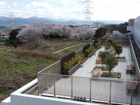 サンカルナテラス三国が丘駅前