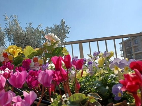 サンカルナ博多の森ケアステージ