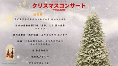 🎄12月25日 弦楽四重奏クリスマスコンサートを開催しました