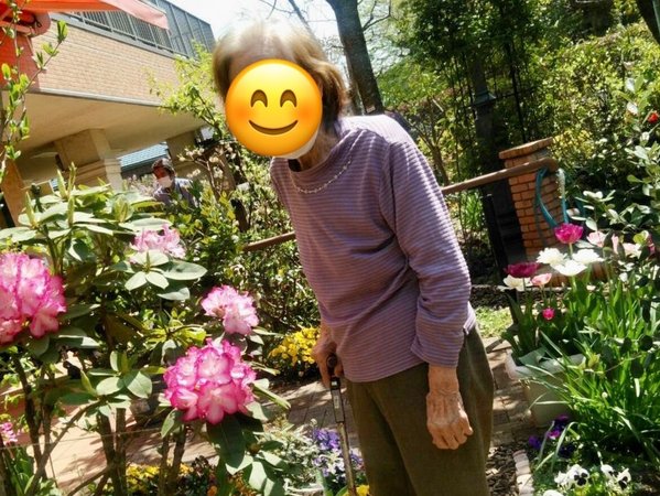 満開の花です カーロガーデン八王子 東京都八王子市 Lifull 介護