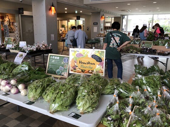 Hauskaa かすみ野