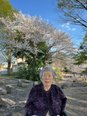 お花見