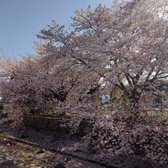 公園
