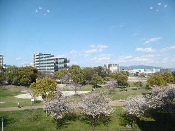 青洲の華 はこざき館