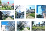 🌼素敵な春のプレゼント ～2026年春～🌼