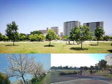 隣接する箱崎公園