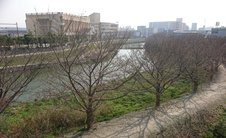 居室からの眺め