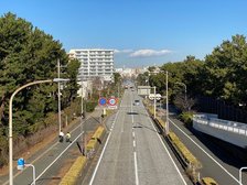 平塚駅南口大通り
