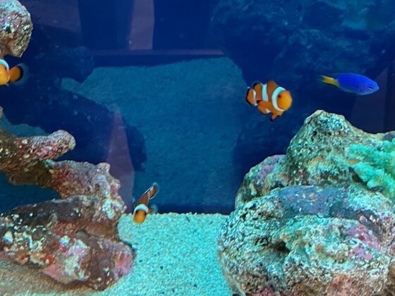 グランアスカ本厚木