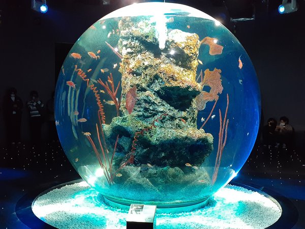 新感覚の水族館「átoa」日本最大級の球体水槽「AQUA TERRA 