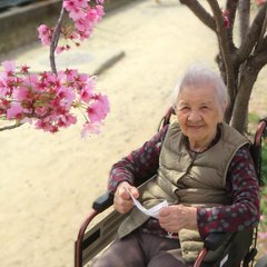 桜がきれいに咲いていました。