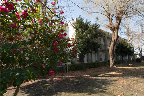 なかよしホーム八幡