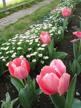 ☆まえむハウス