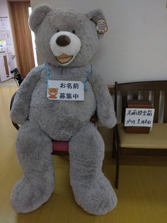 新しい仲間のご紹介