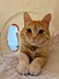 南風・菊間ホーム