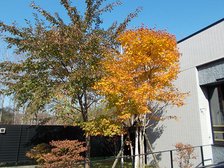 自然豊かな四季