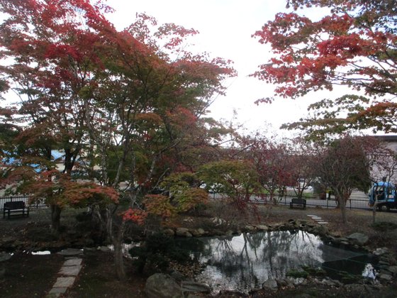 フルールハピネスはこだて