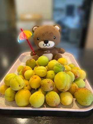 フルールハピネスはこだて