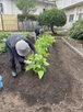 フルールハピネスはこだて