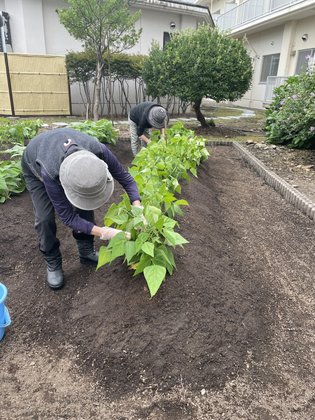 フルールハピネスはこだて