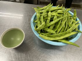 フルールハピネスはこだて