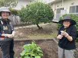 ついに収穫!ご利用者様と育てたインゲン豆の大収穫祭(前編)