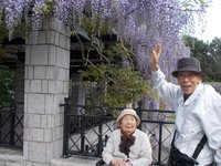 フルールハピネスていね