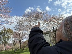 フルールハピネスていね