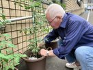 フルールハピネスおたる