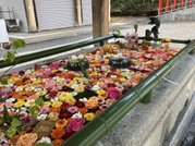 フルールハピネスおたる