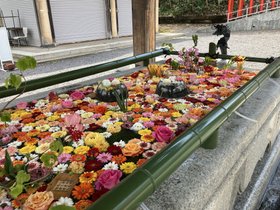 フルールハピネスおたる