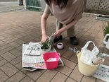お花植えてます🌻