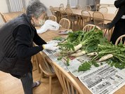 グランジェMOE 南4条