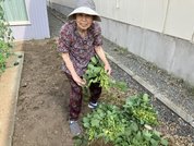 グランジェMOE 南4条