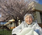 桜を見に行ってきました🌸