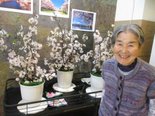 ロビーでも桜!?🌸