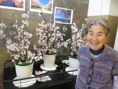 ロビーでも桜!?🌸