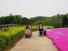 オアゾ桜木