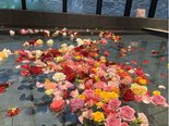 薔薇湯