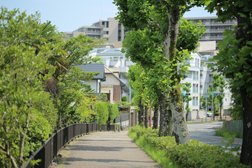 緑豊かなお散歩コースも多数