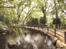 隣の「滝の根公園」です