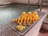 9月の季節湯
