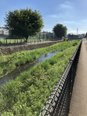 お散歩日和
