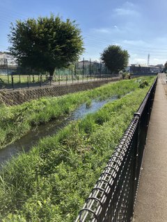 お散歩日和