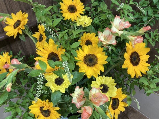 ディーフェスタ川口芝高木